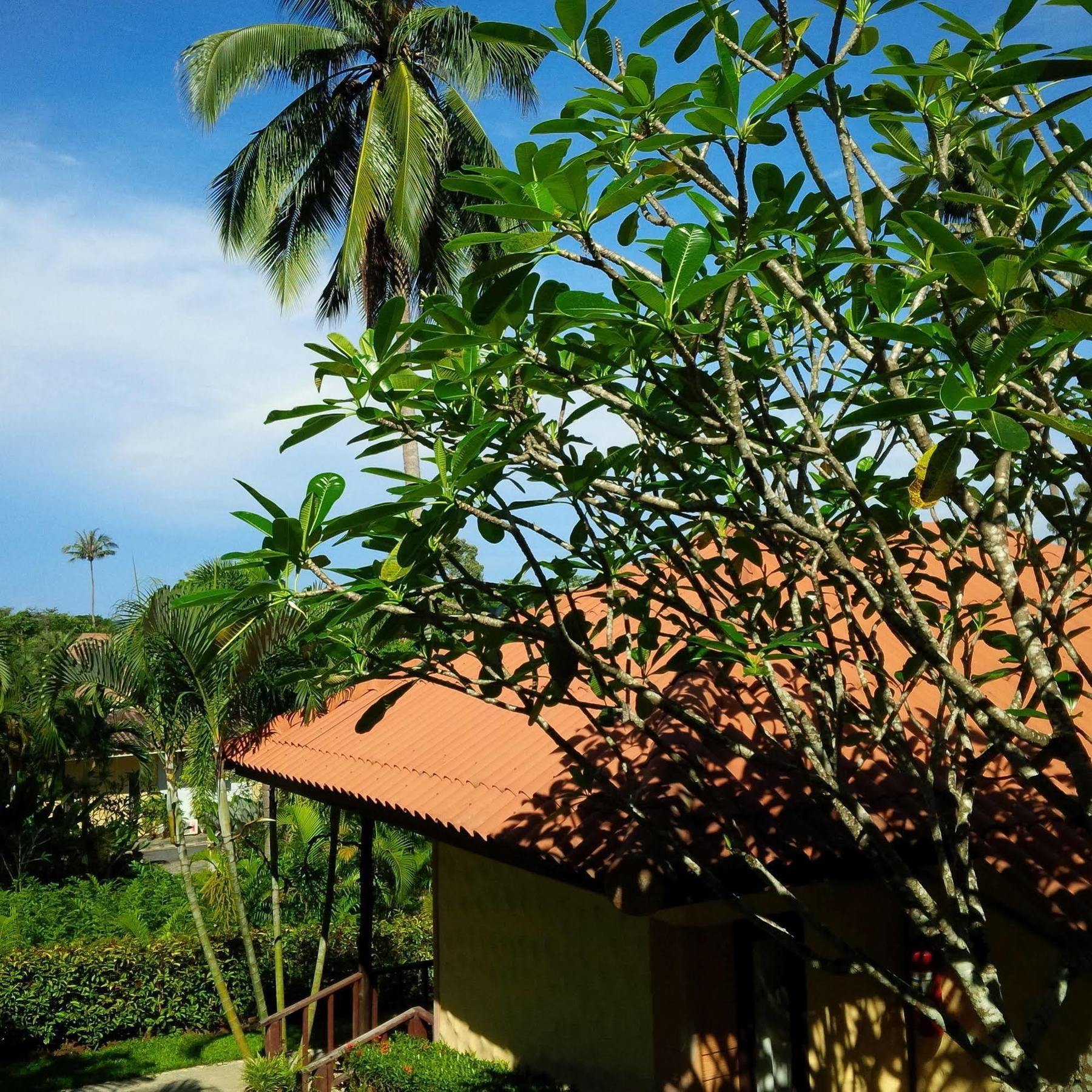 Paradise Bungalows Koh Chang Luaran gambar